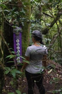 Apartamento ArteSAna - Jardín de la Diosa - 7