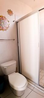 Maravilla en el Centro Histórico de GDL - 7