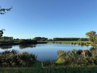 B&B Sint Andries - 1