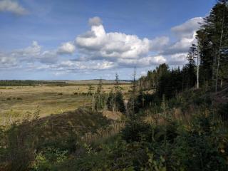 4 person holiday home in Thisted-By Traum - 1