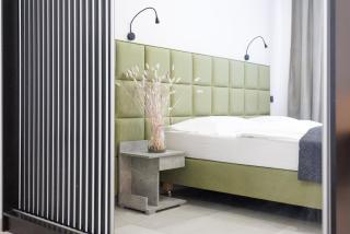 Apartment house in Vienna - 2