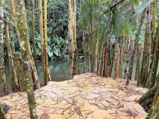 Hotel Selva Cristal - 3