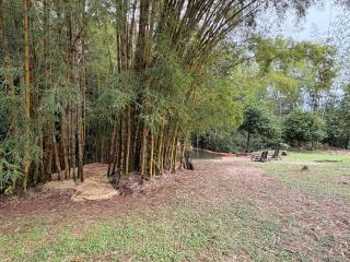 Hotel Selva Cristal - 5