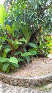 Casinha em Ubatuba - Praia do Itaguá - 2