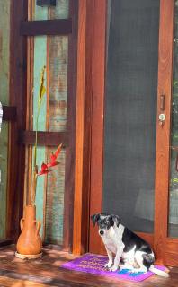 Casa dos Araçaris - Península de Maraú - 6