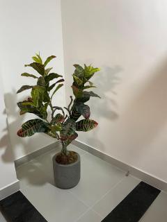 Casa aconchegante em São Lourenço - MG - 1