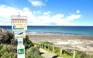 The Blue Cottage - 4