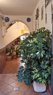 BED FOR 4. TYPICAL QUIET AND AUTHENTIC AREA - 2