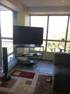 Hamilton condo, close to Toronto and Niagara Falls - 2