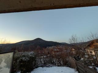 Kuckucksnest Baiersbronn mit Hallenbad - Mein Schwarzwaldhäusle - 3