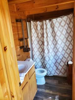 Dream of a Log Cabin - 2