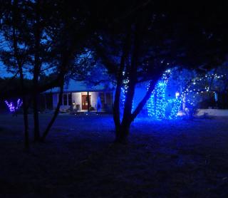 Hilltop Saltwater Pool and Hot Tub - 7