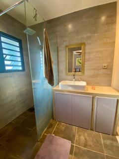 maison très proche lagon saint leu - 7