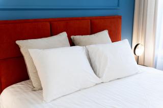 Sunlight Velvet Cozy Studio - Heart of Riga - 4