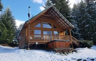 Mountain View Cabin, Hot Tub at White Pass Resort, Mt Rainier - 0