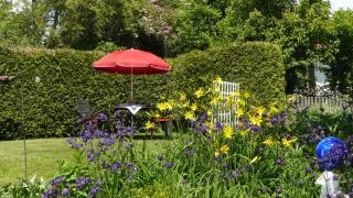 Ferienwohnung Vogelsang - 2