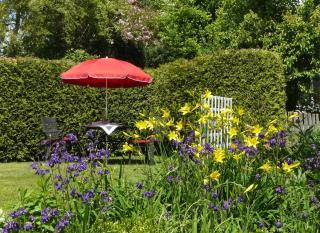 Ferienwohnung Vogelsang - 8