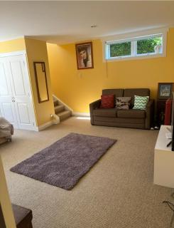 Fully Functional Flat Pet Friendly - 4