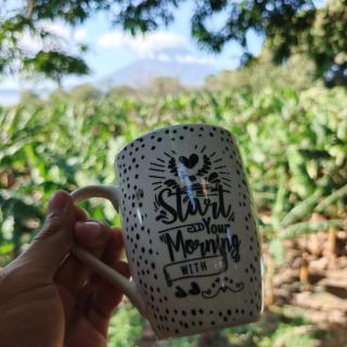 Casa Del Árbol Ometepe - 5