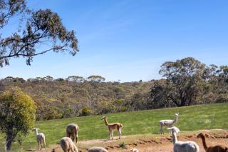 Glenkeen Farm and Cabins - 1