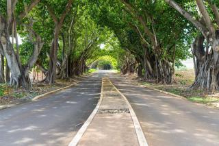 Oceanfront Paradise Room with Pool and Oceanviews - 4