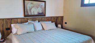 San Cosme y Damian Lodge & Spa - 4