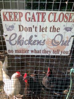 Agapantha Cottage, Country in the City, one bedroom, original art works - 2