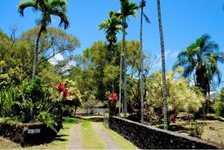Tropical Jungalow Near the Ocean Cliffs - 7