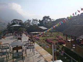 Hoa Chanh Memory - between the villages - 1