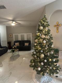 Orlando Lakefront Pool Villa 25 min Disney & Univ - 9