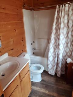 Dream of a Log Cabin - 5