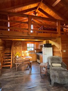 Dream of a Log Cabin - 2