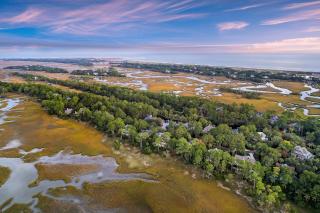 SC31: 31 Salt Cedar - 4