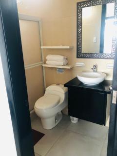 Bluefootedboobies - 3