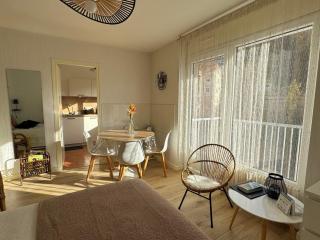 Grand studio lumineux avec balcon et WiFi, résidence avec piscine - FR-1-555-122 - 3