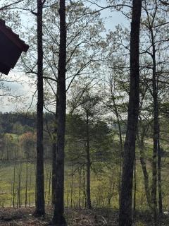 The rancher at heart - 5