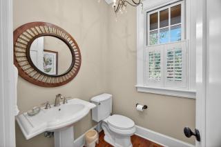 595 Piping Plover - 6