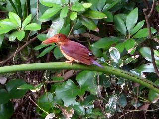 ウィークリー宿家里 - 4