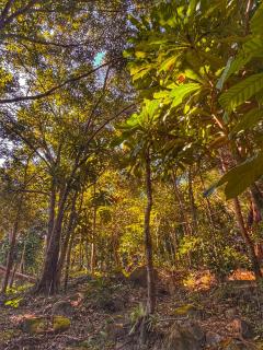 Prey Apsara Bungalows - 2