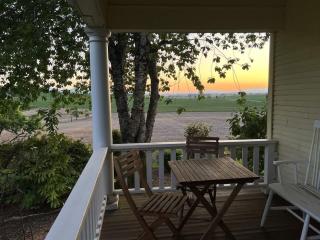 Barn Owl Hill Farm 1911 farm home w vineyard view - 3
