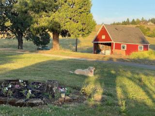 Barn Owl Hill Farm 1911 farm home w vineyard view - 4