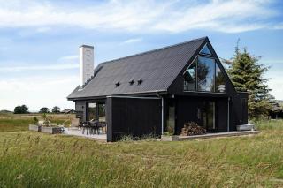 Untamed Nature And Stars In Tversted By Sea - 7