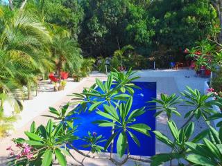 Blanconejo de Montezuma - Montezuma - 0