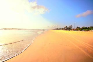 'Golden Sand Dunes' 1bhk Benaulim beach apartment - 9