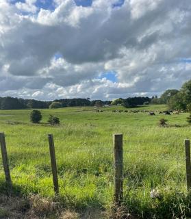 Gordonton Greenmeadows Cottage - 8