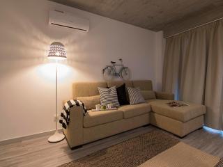 S. Gonçalinho - Suites Apartments - Aveiro - 9