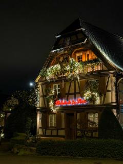 Hôtel Restaurant Relais De La Poste - Strasbourg Nord - 9