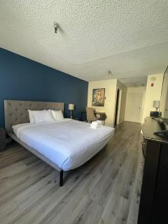 Modern Apart in Beverly Hills - 3