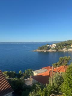 Apartments Villa Suzana Including Private Pool - 8