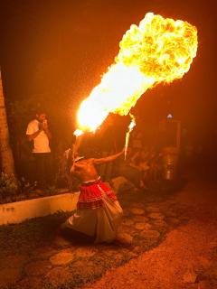 Villa Claudia Nimal's kitchen - 8